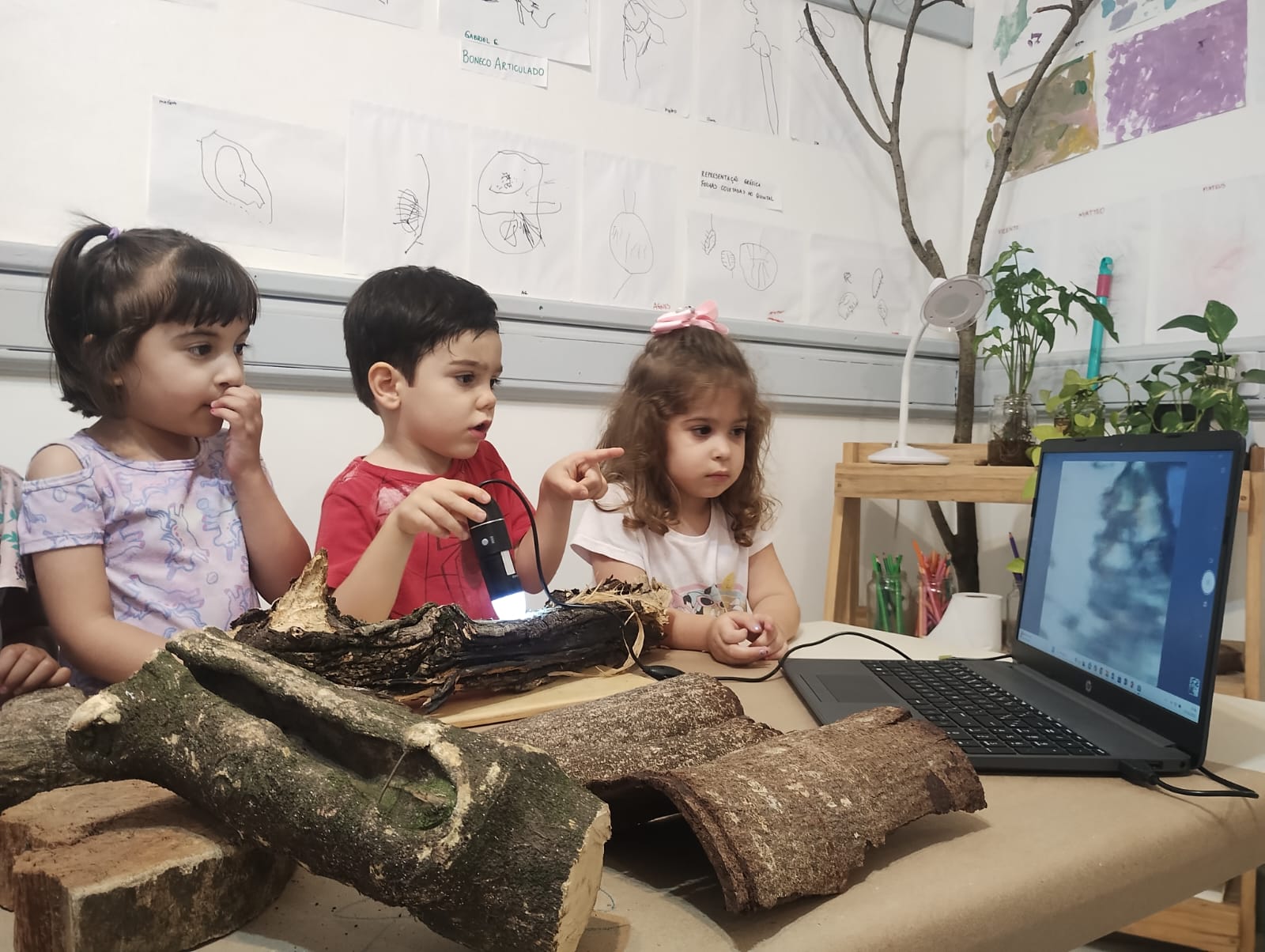 Área verde para aprender brincando